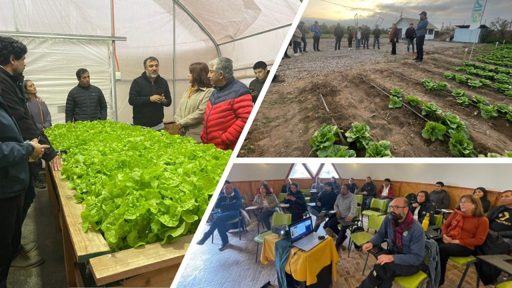 Cores De Atacama Conocen De Cerca Trabajo De Inia En Agricultura